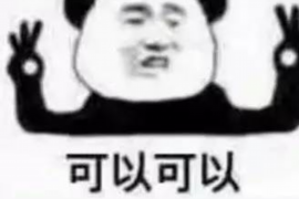 马上金融催收协商：全面解析与应对策略