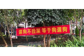  没有借条的讨债方法：如何合法高效追回欠款